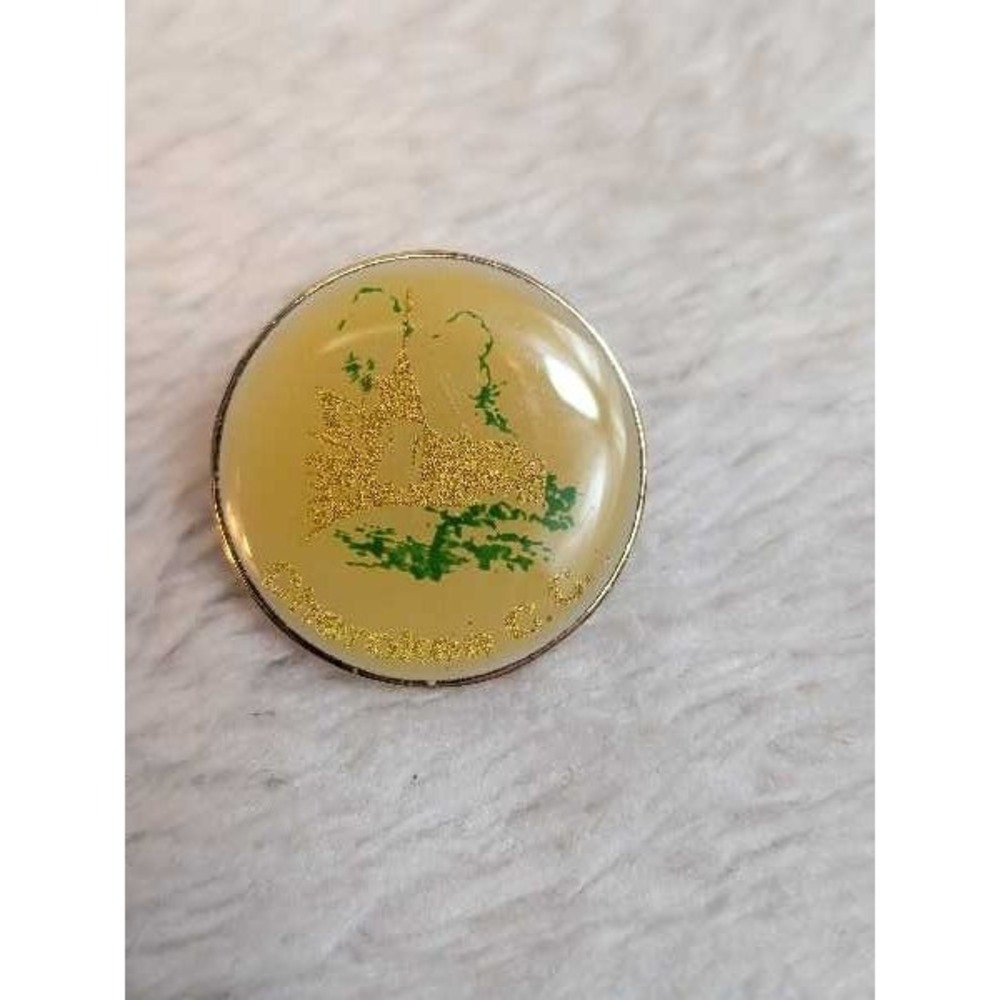Vintage Enamel Pin Gold Tone Landscape Nature Scene Collectible